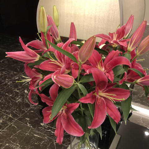 ユリ⭐︎様 YURINE on X