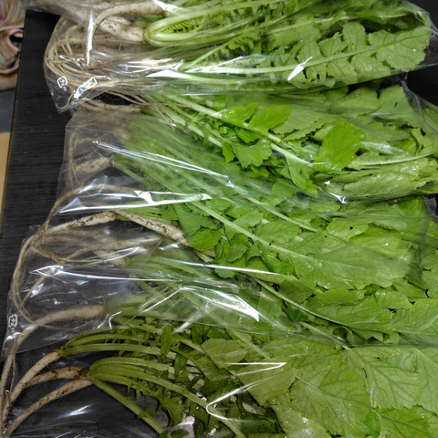 【専用出品】大根葉31袋 専用出品】大根葉31袋