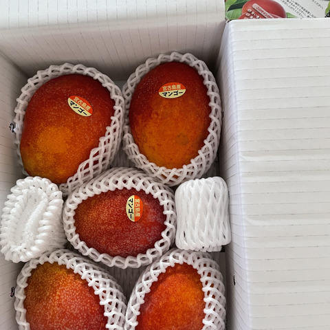 宮古島産マンゴー（ご家庭用1kg／2～3玉）【沖縄・宮古島産／糖度保証