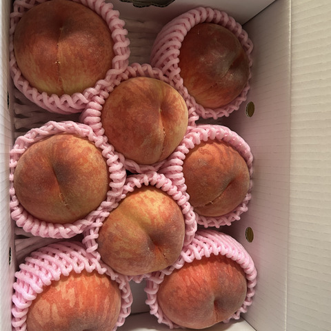 ③☆専用:ミエイ様【2㎏4箱】桃 日川白鳳(訳あり) まるせい果樹園の桃『日川白鳳』2kg箱 (6～11玉入り) mh2：福島県産の