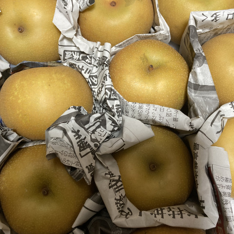 幸水】ミニサイズ梨を格安で🍐【家庭用】約3.5Kg：千葉県産の幸水