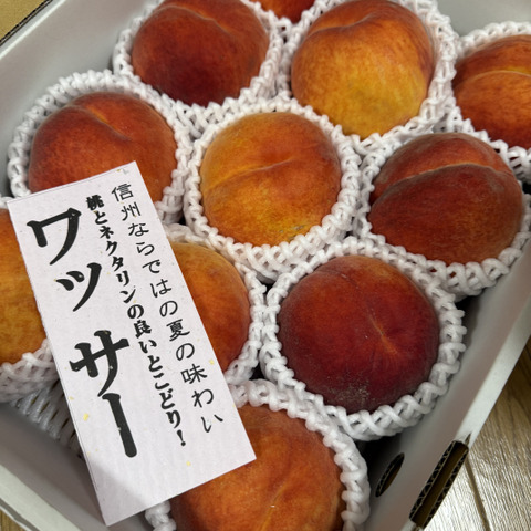 ワッサー ならお任せ！！ 信州ならではの桃 訳あり ご家庭専用