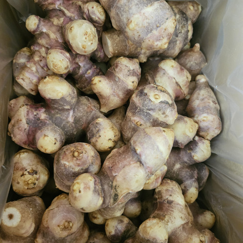 農薬・化学肥料不使用】MOA自然農法で育った紫菊芋 2kg：青森県産の赤