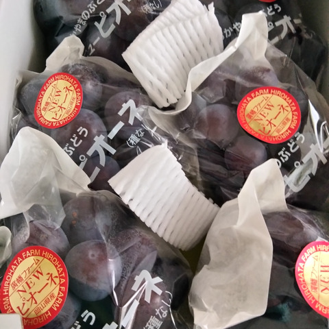 たまねぎ屋みーちゃん　岡山ピオーネ　きれいな家庭用2箱と進物用1箱　クール たまねぎ屋みーちゃん様専用 岡山ピオーネ きれいな家庭用2箱と進物用1