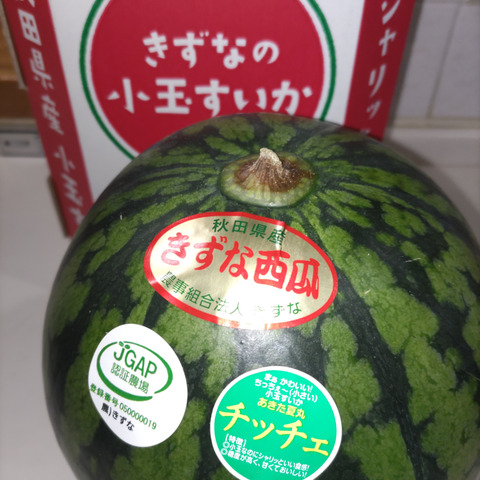 早い者勝ち‼️WASPE ストロベリースイカ＆ミックスフルーツ 早い者勝ち‼️WASPE ストロベリースイカ＆ミックスフルーツ