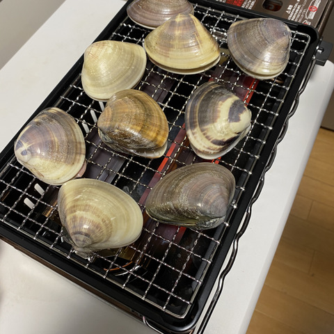 千葉県九十九里地はまぐり 約1キロ入 濃厚な味で焼きはまぐりや酒蒸しに最適です 千葉県のレビュー一覧 食べチョク 産地直送 産直 お取り寄せ通販 農家 漁師から旬の食材を直送