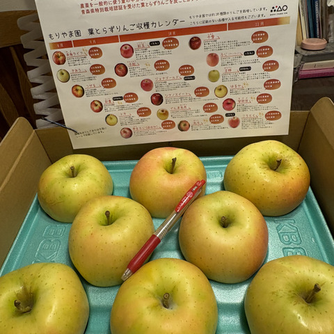 すぐ発送🚚トキ🍏3kg 甘くジューシーな人気の黄りんご✨キズなし良品