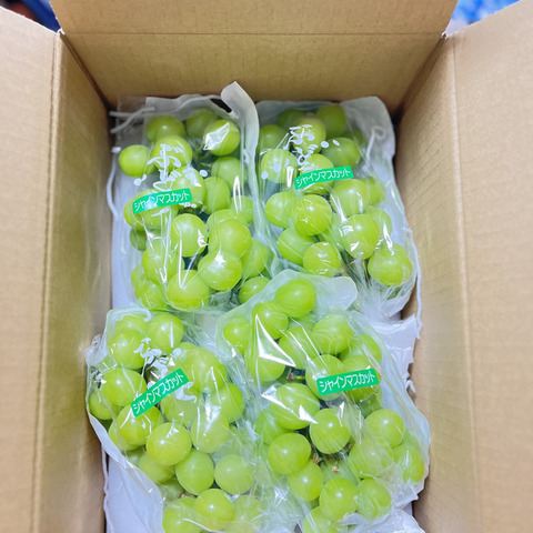 山梨勝沼産大粒シャインマスカット4房 予約商品：極粒シャインマスカット 1房／山梨県勝沼産 | 八百繋