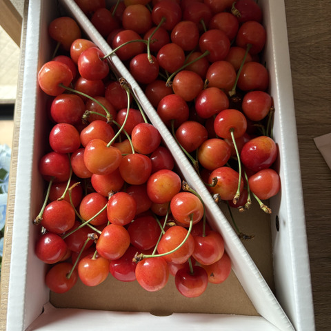 ○1kg☆名和果樹園の贈答用秀品紅秀峰L〜2L【常温便】山形県東根市産