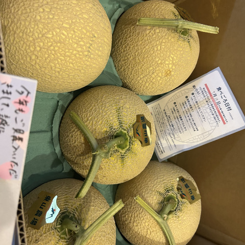 夏ギフト】【冷蔵便】たっぷり8kg！北海道夕張郡産キングメロン