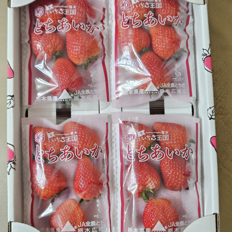 オンラインショップ 8P)約2kg【いちご・とちあいか】実がしっかりして酸味が少なく甘 果物