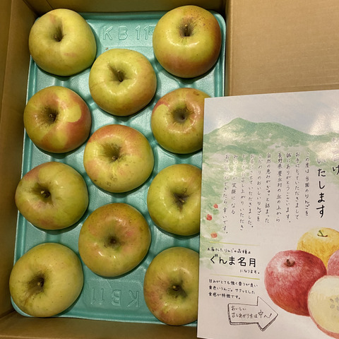 2026年予約】『ぐんま名月』家庭用 甘くてジューシー！見た目も可愛い