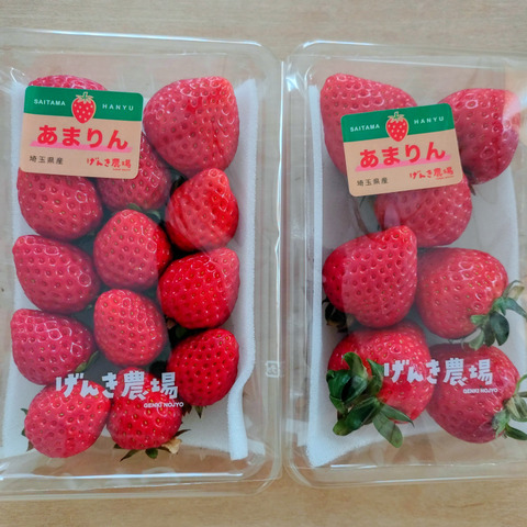 いちごグランプリ2026 総合部門 銅賞】埼玉県オリジナル品種「あまりん