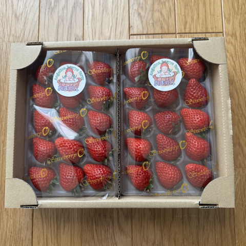 プレミアムいちご 『あまりん』と『べにたま』か『かおりん』の食べ