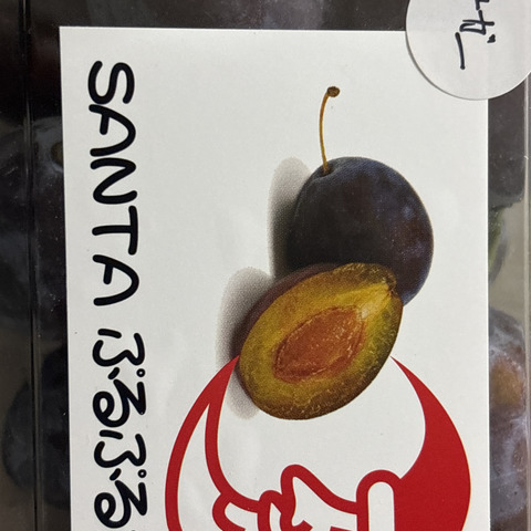 完熟生プルーン 普通品 3キロ箱 限定再販売！ 最終値引き中：青森県産