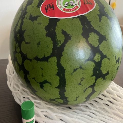 農家直送！三浦市産大玉スイカ8kg以上1玉！：神奈川県産のその他