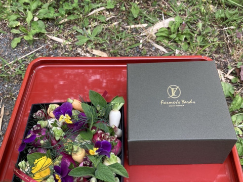 【父の日ギフト】野菜ブーケ BOXタイプ【メッセージカード付き】【カラフルなミニ野菜】【6/1(日)～6/22(日)お届け】