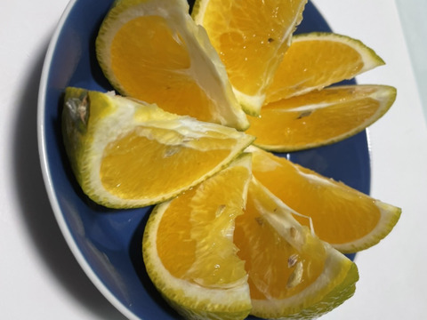 フレッシュ感のあるスイートスプリング　我夢舎羅村　2キロ