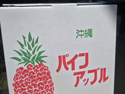 甘さ際立つ！沖縄県産『サンドルチェ』🍍　2玉　2.5kg～