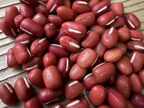 自然栽培　京丹後産　R７年産新豆　京都大納言小豆　200ｇ×２