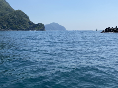 漁師直送！天然活トコブシ1.５キロ　とこぶし　ナガレコ　ながれこ