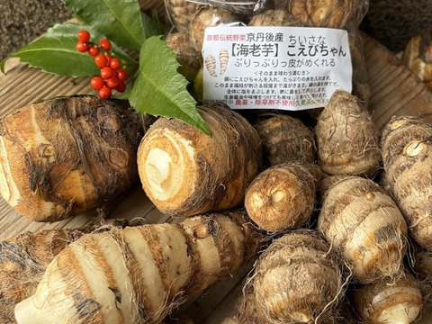 京都伝統野菜  小さい海老芋＆こえびちゃん合計１K＆ちいさなちいさなこえびちゃん300gセット