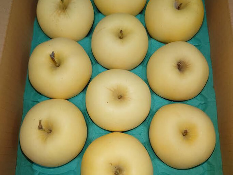 希少品種　はるか　３キロ　家庭用