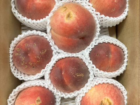 セット黄桃約2キロ＋白桃約2キロ　訳あり家庭用  農薬半減栽培