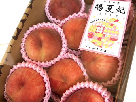 硬め食感高糖度‼️山形県産 陽夏妃【2キロ中玉】