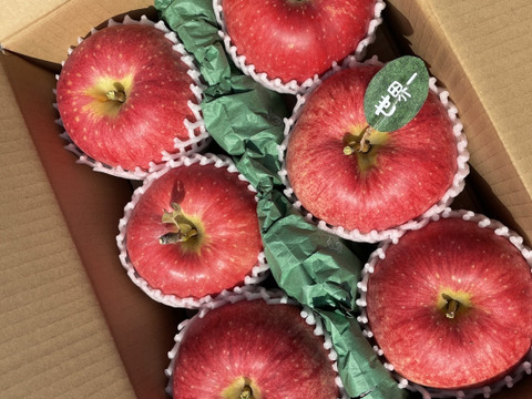 🍎希少品種🍎世界一3キロ 6～7玉入り 青森りんご