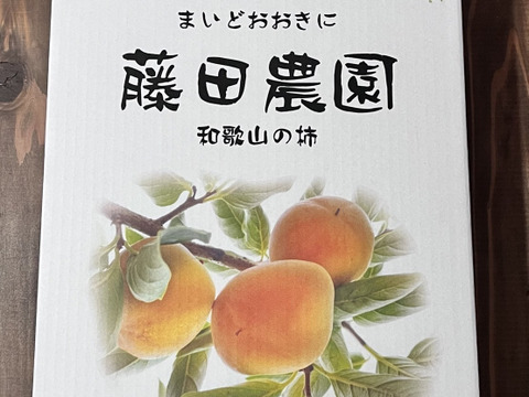 秋穫祭！500円引き！秋の味覚　和歌山のたねなし柿(ギフト用)  10〜12個入り