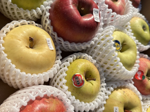 そのまんま「わんぱく箱」約5kg箱　12〜18玉入