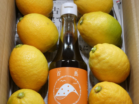 ぽん酢とセット！お試しに　皮まで使える瀬戸内レモン　約８個　M～Lサイズ