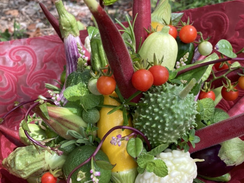 【秋ギフト】野菜ブーケ【カラフルなミニ野菜】ファーマーズヤード【お誕生日】【開店祝い】【周年祝い】【お供え】