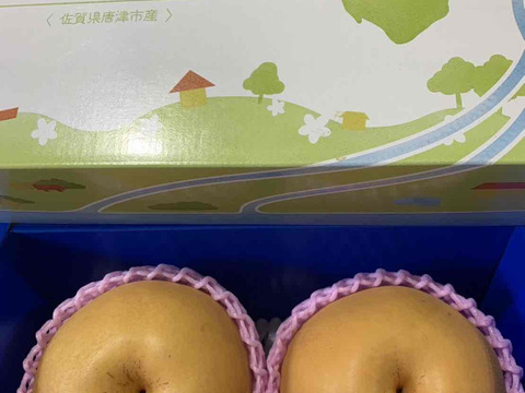 【SORA】二代目川添果樹園のジャンボ新高梨