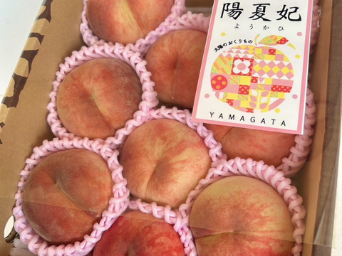 硬め食感高糖度‼️山形県産 陽夏妃【2キロ小玉】