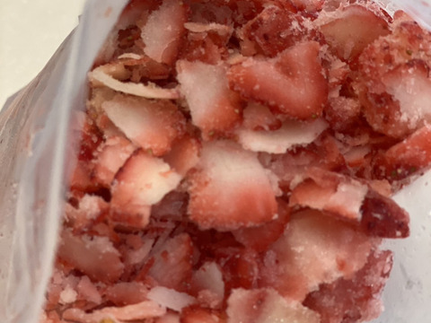 【母の日ギフト】【こどもの日ギフト】冷凍フルーツ詰め合わせ　本州の方限定