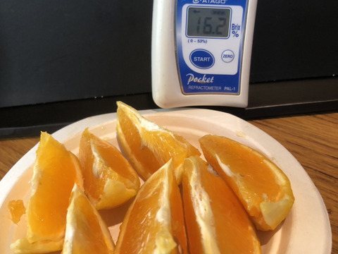 【太陽の恵み♪】バレンシアオレンジ（家庭用）Sサイズ・5kg