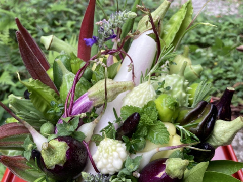 【秋ギフト】野菜ブーケかごタイプ【カラフルなミニ野菜】【お誕生日】【開店祝い】【周年祝い】【お供え】