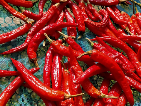 【セット商品】山のとんがらし(20g×2袋)・そらのお茶(200g)