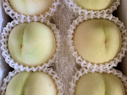 岡山県産【白桃女王清水】ご家庭用約2kg箱6~8個入り2箱セット