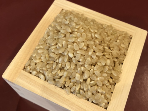 有機玄米（コシヒカリ）１ｋｇ香川産／2023年産