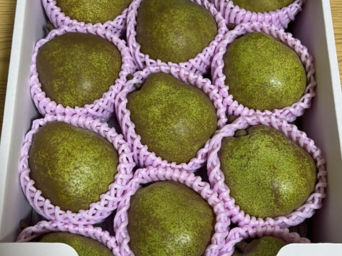 ラフランス　贈答品　山形県天童市産