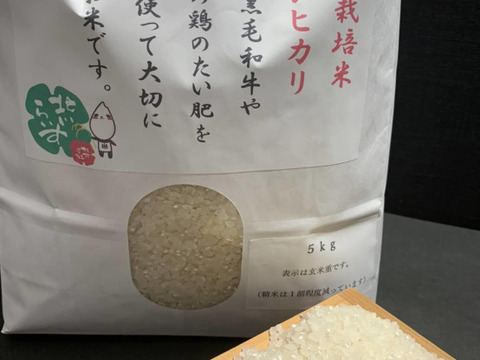 令和４年産！！ふっくらもちもち！特別栽培米コシヒカリ玄米（10㎏）