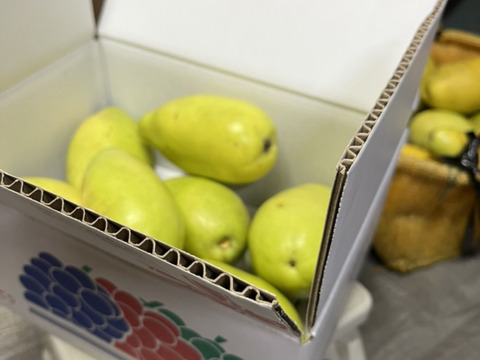 かりん仕事始めませんか？加工用本かりん2kg