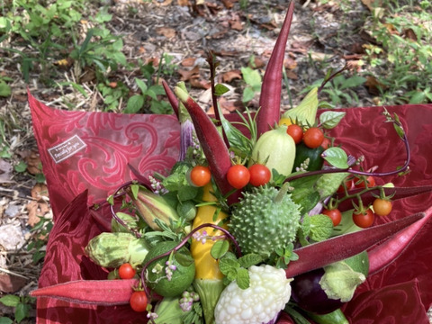 【秋ギフト】野菜ブーケ【カラフルなミニ野菜】ファーマーズヤード【お誕生日】【開店祝い】【周年祝い】【お供え】