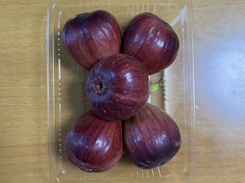 片桐いちじく（イチジク）　露地栽培　予約販売　順次配送