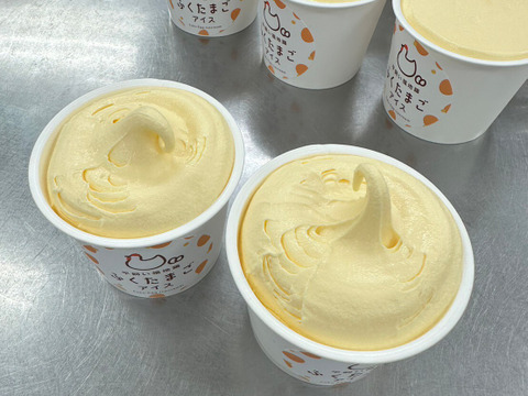 【父の日】メッセージカード付き！平飼いふくたまごアイス／アソート（６個セット）