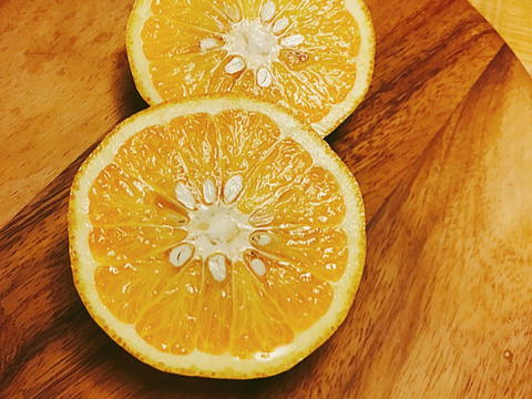 熊本県天草産 農薬不使用 自然栽培 うぶ柑(甘夏) 4.5kg：熊本県
