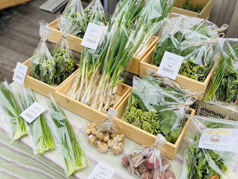 【お肉料理をもっと美味しく】体にやさしい自然栽培サラダセット＋季節のやさい5種類